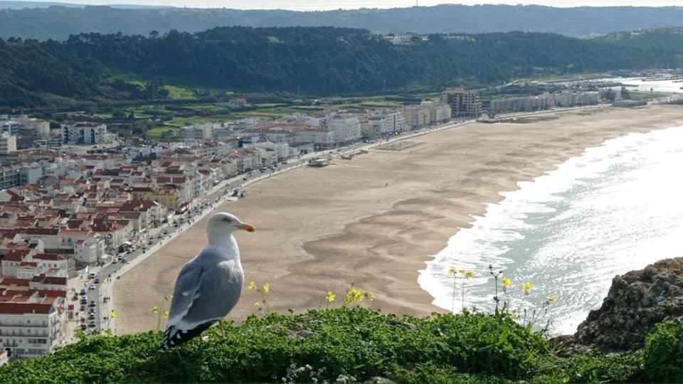 West Coast Dream Nazare Vila Exterior foto